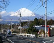 日本硕士金牌项目